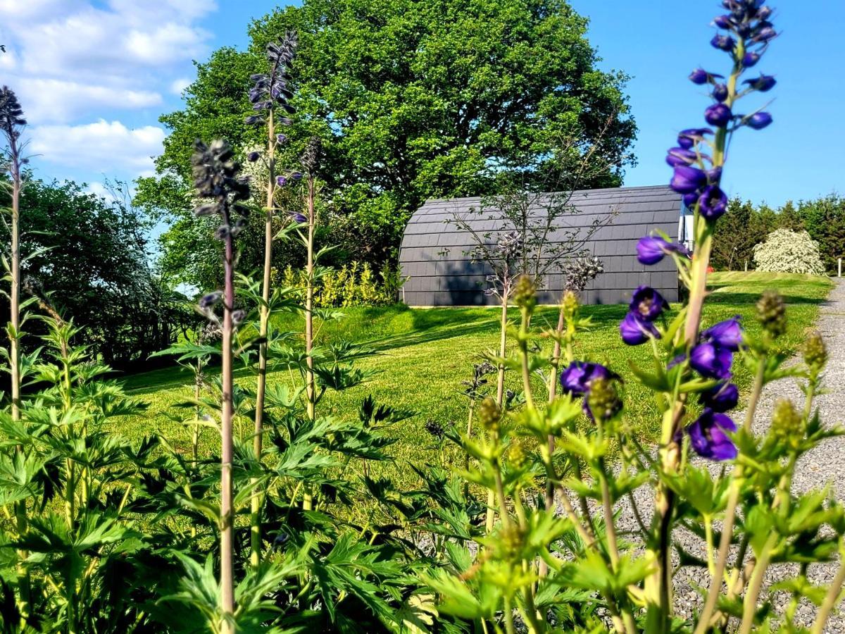 Odli Glamping - Deri Apartment Welshpool Luaran gambar